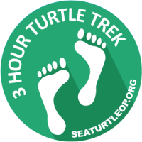 4 Hour Turtle Trek 6/23/16 